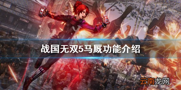 战国无双5马厩有什么用 战国无双5马厩功能介绍