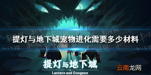 提灯与地下城宠物进化需要多少材料 提灯与地下城宠物进化材料介绍