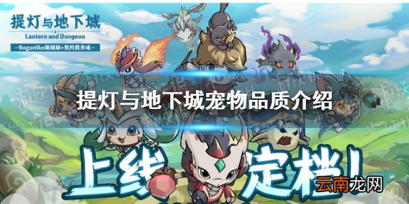 提灯与地下城宠物品质怎么分 提灯与地下城宠物品质介绍