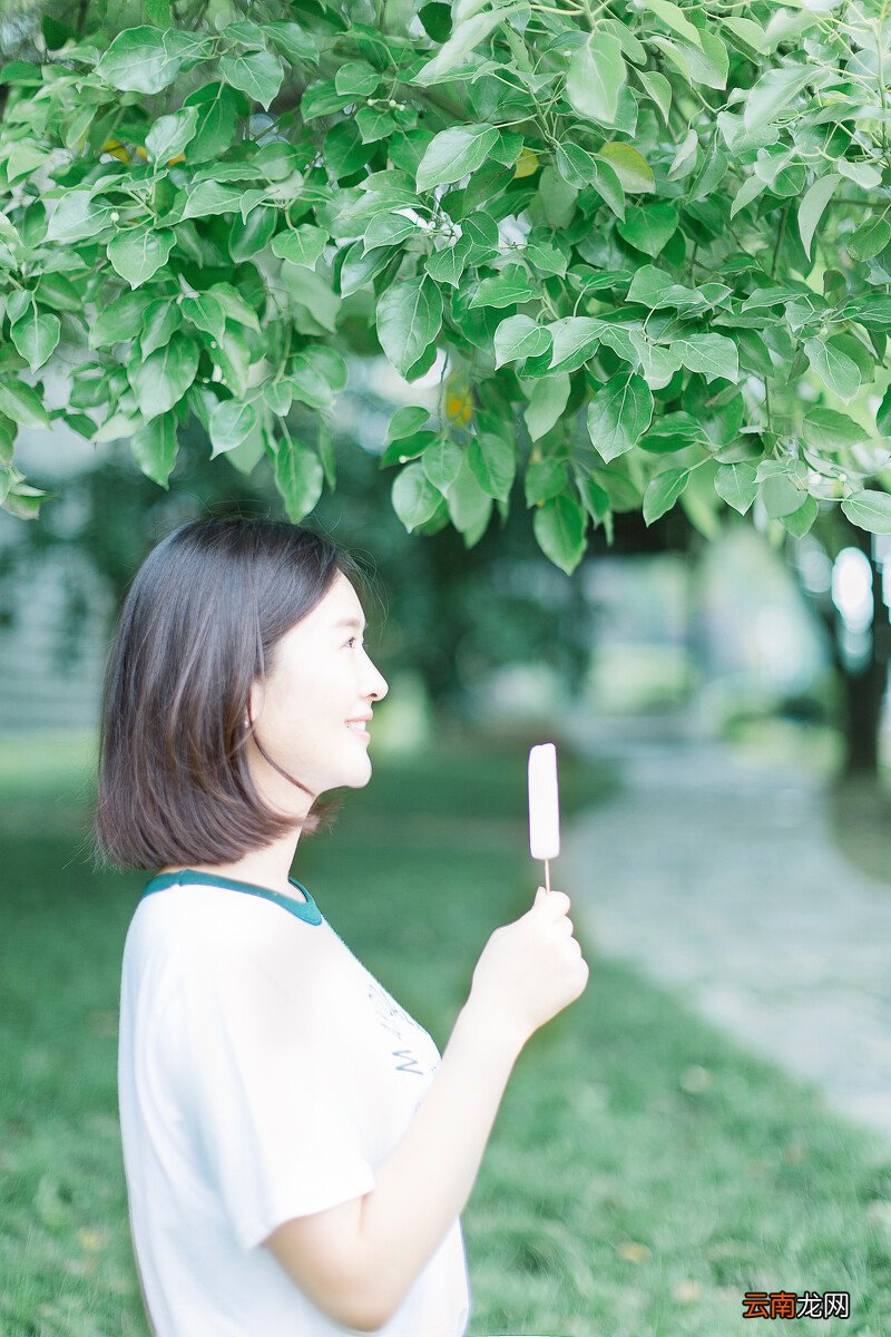 被风吹过的夏天
