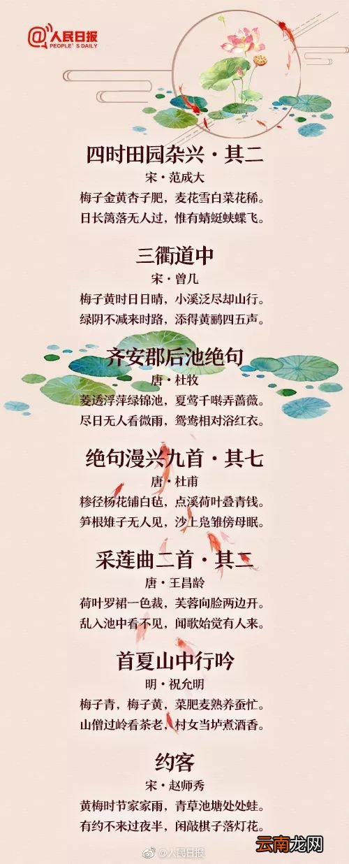 关于夏天的古诗