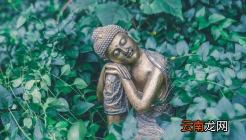 六根是哪六根 六根是哪六根清静
