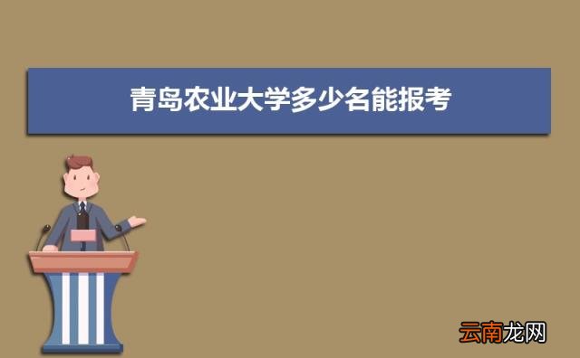 2022青岛所有大学排名一览表 青岛有哪些大学及排名
