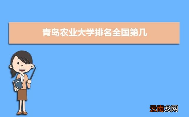 2022青岛所有大学排名一览表 青岛有哪些大学及排名