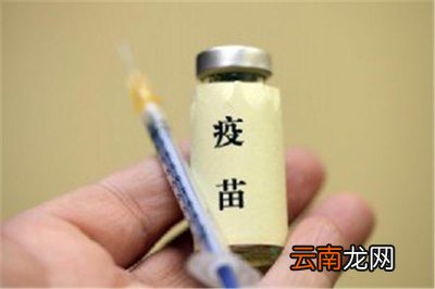 打新冠疫苗要带什么证件吗
