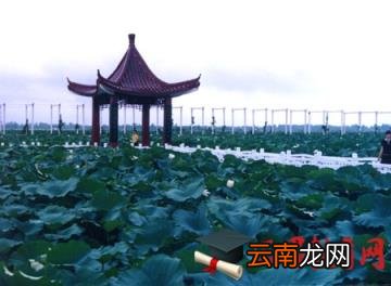 淮安话骂人搞笑的段子(精选 淮安话方言骂人大全)