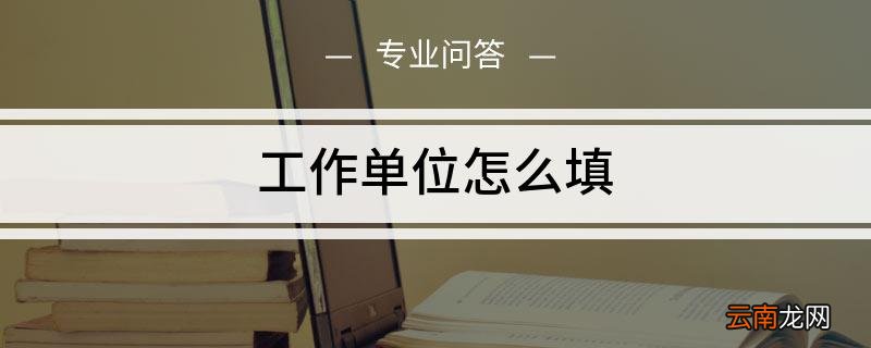 工作单位怎么填