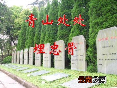 青山处处埋忠骨教案
