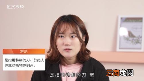 解剖是什么意思 解剖是什么-