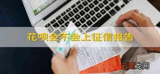 花呗会不会上征信报告 花呗是不是会上征信