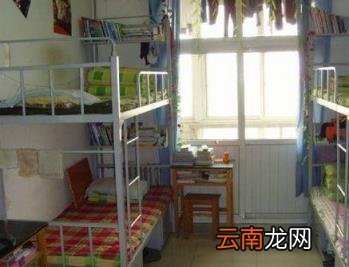 宿舍环境图片(10篇 河北工业大学宿舍条件)