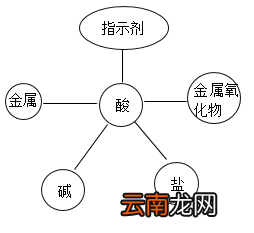 酸的化学性质