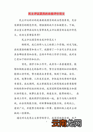 团员自我评议