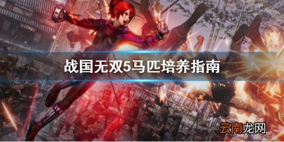 战国无双5马匹怎么培养 战国无双5马匹培养指南