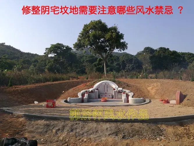 坟前种什么树好，种在哪个位置好