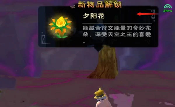 《创造与魔法》夕阳花位置是什么