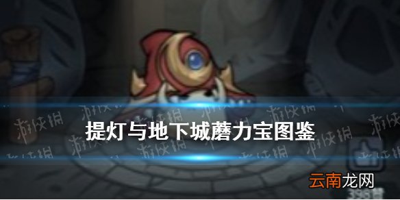 提灯与地下城蘑力宝怎么获得 提灯与地下城蘑力宝契约兽图鉴