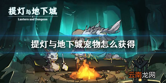 提灯与地下城宠物怎么获得 提灯与地下城宠物获得攻略