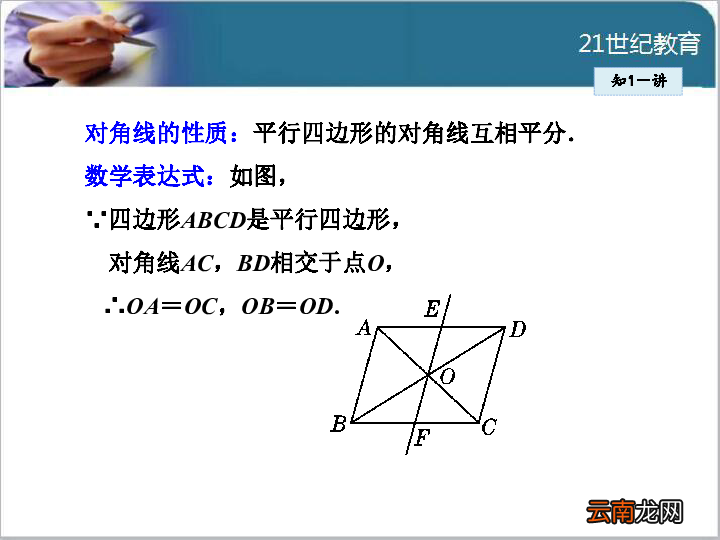 四边形的性质