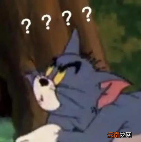 官方店和旗舰店哪个靠谱,官方旗舰店和旗舰店的区别？