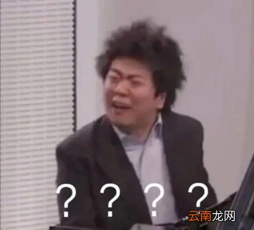 官方店和旗舰店哪个靠谱,官方旗舰店和旗舰店的区别？