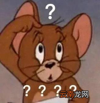 官方店和旗舰店哪个靠谱,官方旗舰店和旗舰店的区别？