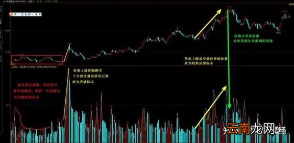 新手怎么看懂股票数据,怎么选股票看些什么数据？