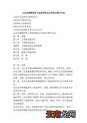 国有土地使用权出让