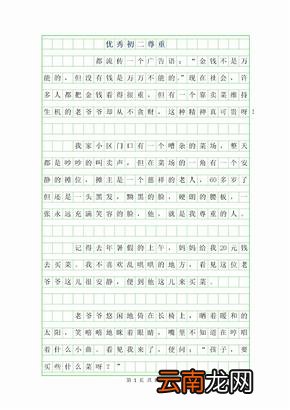 优秀作文600字