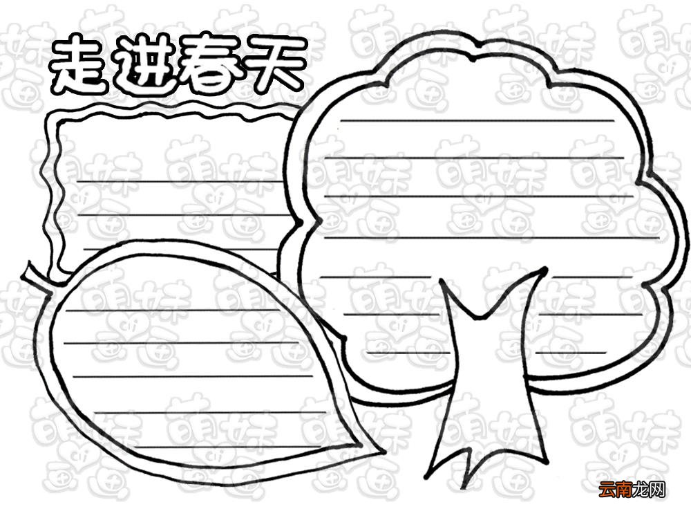手抄报模板