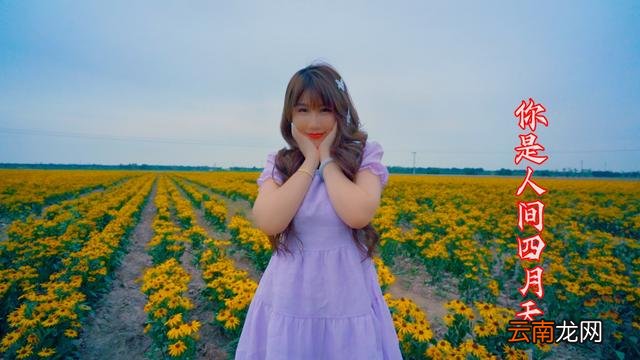 愿你的冬天不缺暖阳是什么歌曲