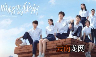 暗格里的秘密结局，暗格里的秘密结局男主坐牢了吗