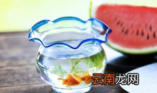 阳台能不能放鱼缸能承受住吗 阳台能不能放鱼缸