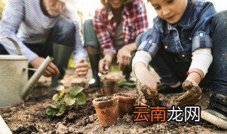 大门口左右放什么植物招财 大门口左右放什么植物招财聚财