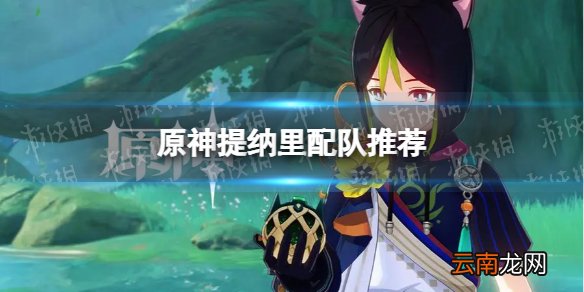 原神提纳里怎么配队 提纳里配队推荐