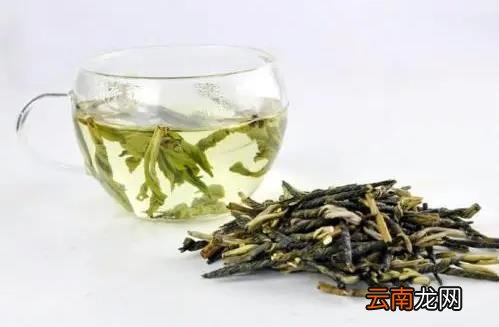 苦丁茶有什么副作用 苦丁茶有什么作用和功效