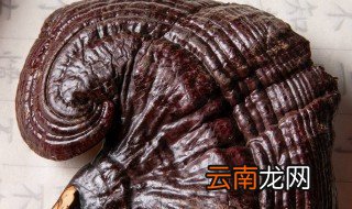 如何保存灵芝最好 保存灵芝最好的方法是什么