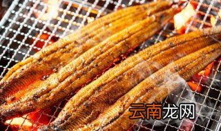 什么鱼做烤鱼好吃 什么鱼做烤鱼比较好