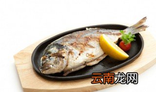 如何炖鱼好吃 怎么做炖鱼