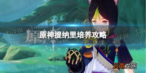 原神提纳里怎么玩 提纳里培养攻略
