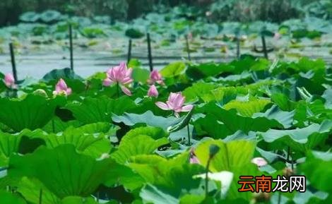 武汉大概什么时候降温 武汉几月份才能凉快