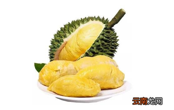 榴莲干包和湿包是不同品种吗 榴莲干包和湿包是两品种吗