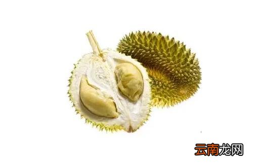 榴莲干包和湿包是不同品种吗 榴莲干包和湿包是两品种吗