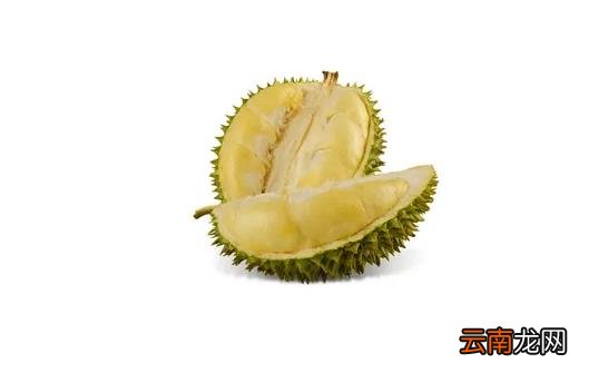 榴莲干包和湿包是不同品种吗 榴莲干包和湿包是两品种吗