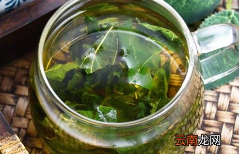 陈皮桑叶茶的功效有哪些 陈皮桑叶茶可以长期喝吗