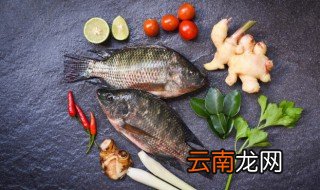 冬天有哪些鱼不用钓鱼钩 冬天有哪些鱼不用钓鱼
