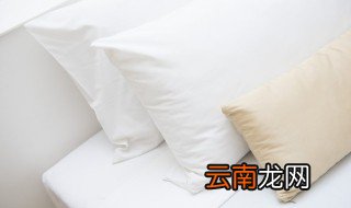 发黄的枕头芯怎么清洗 发黄的枕头芯怎么清洗掉色