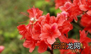 给兄弟的生日祝福语 给兄弟的生日祝福语有哪些