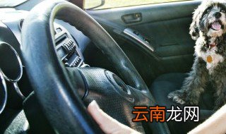 副驾驶放瓶水 汽车副驾驶中间放水杯可以吗