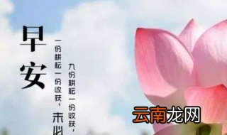 关于早上好朋友们的早安祝福句子 有关早安的说说